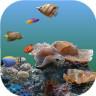 3d海底世界真鱼动态手机壁纸